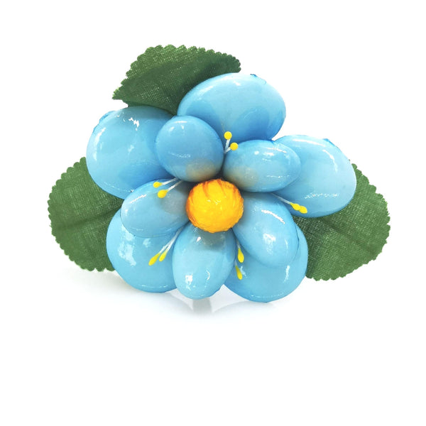 Begonia | Colori assortiti - I.R.C. William Di Carlo Srl