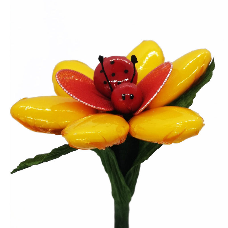 Margherita con Coccinella | Colori assortiti - I.R.C. William Di Carlo Srl